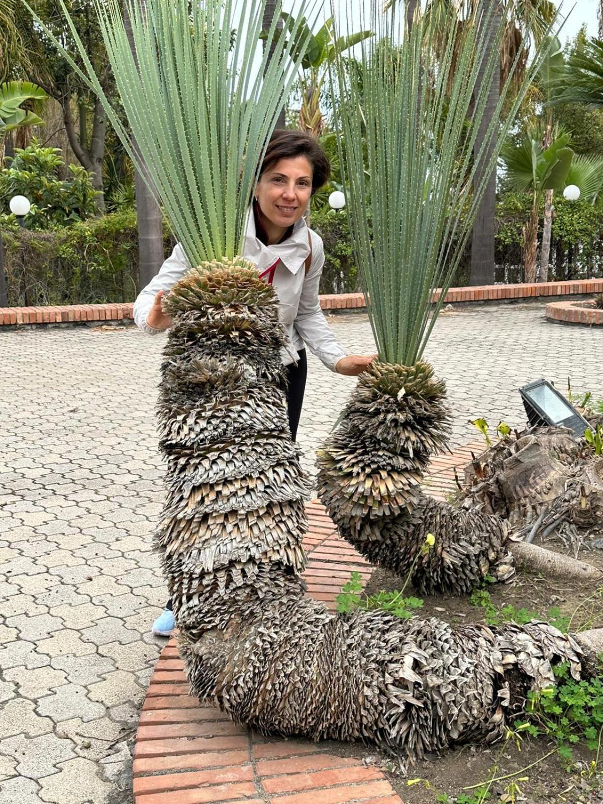 Adriana Casa Vacanze Mare Etna Sicilia Acireale Zewnętrze zdjęcie